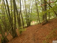 2026-10-24 Il Sassone 116